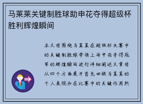 马莱莱关键制胜球助申花夺得超级杯胜利辉煌瞬间