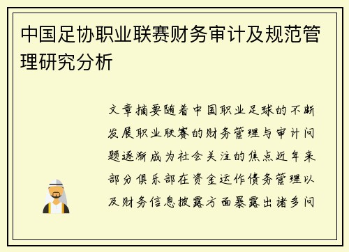 中国足协职业联赛财务审计及规范管理研究分析 中国足协职业联赛财务审计及规范管理研究分析