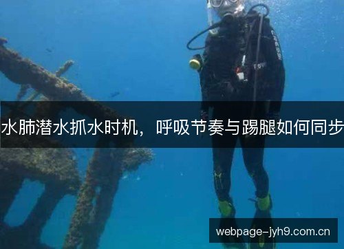 水肺潜水抓水时机，呼吸节奏与踢腿如何同步
